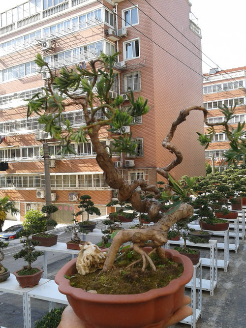 2013-04-30 15.30.06.jpg
