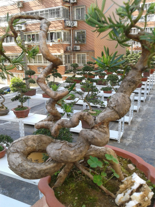 2013-04-30 15.30.43.jpg
