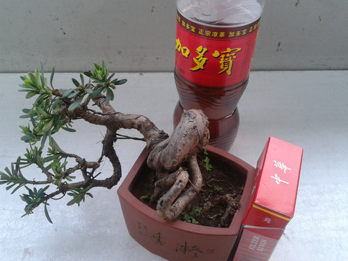 2013-04-17 17.24.20.jpg