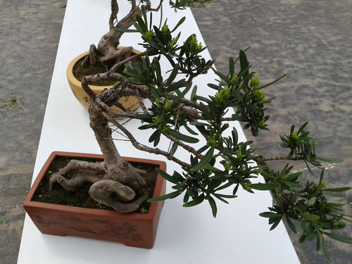 2013-04-22 13.31.04.jpg