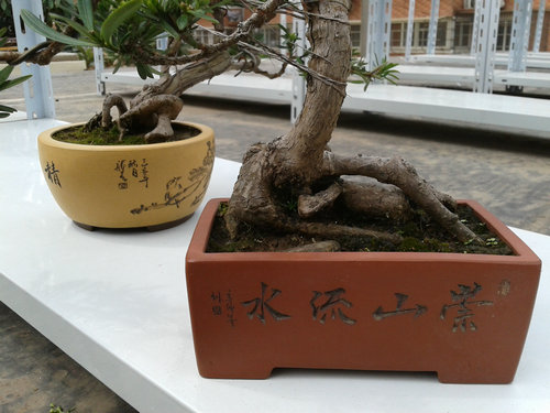 2013-04-22 13.33.00.jpg