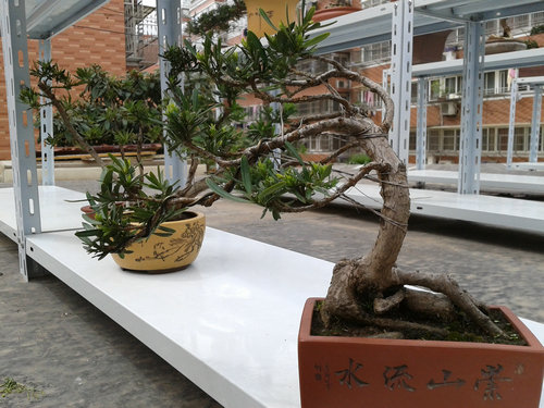 2013-04-22 13.34.29.jpg