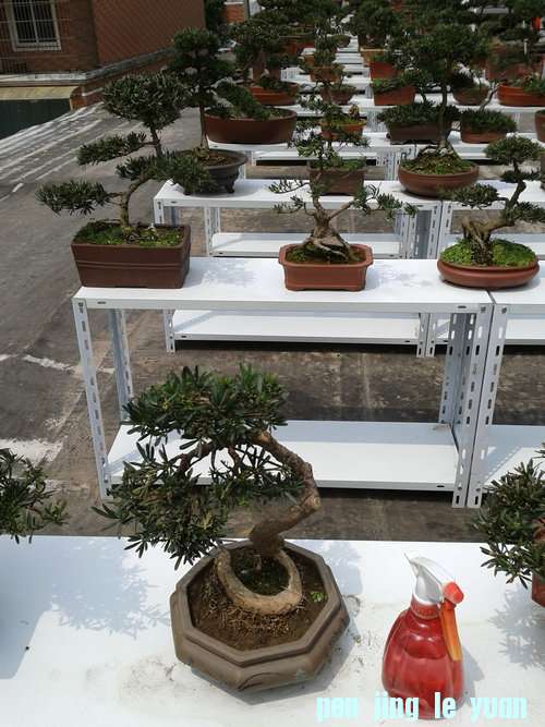 2013-04-21 12.50.24.jpg