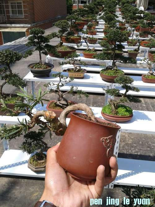 2013-04-28 13.38.39.jpg