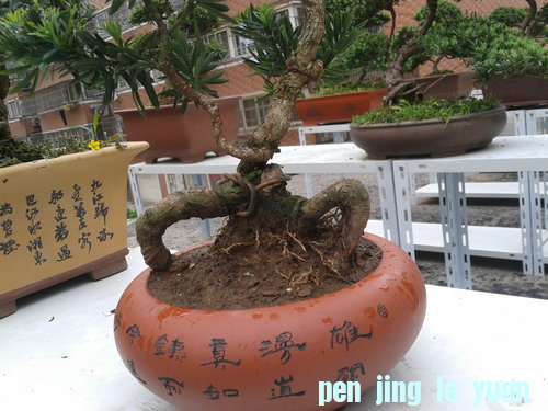 2013-05-06 13.32.07.jpg