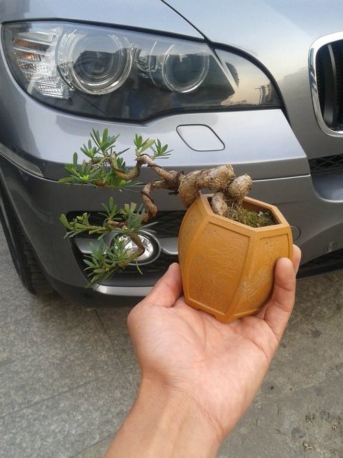 2013-04-17 17.13.37.jpg