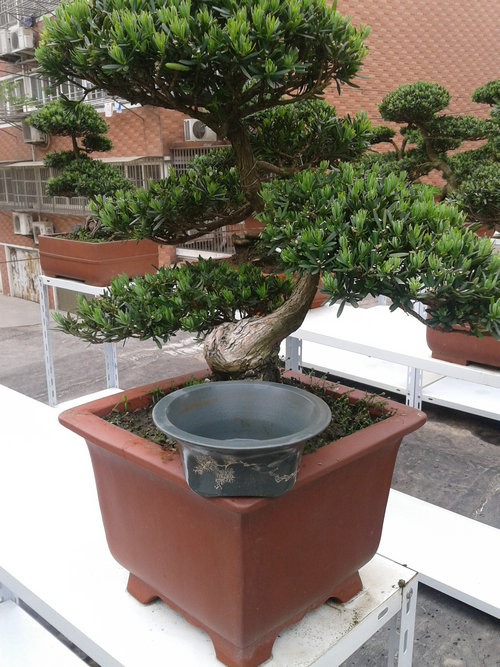 2013-05-06 16.32.35.jpg