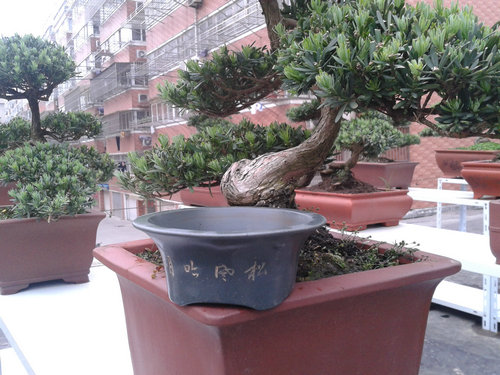 2013-05-06 16.33.37.jpg