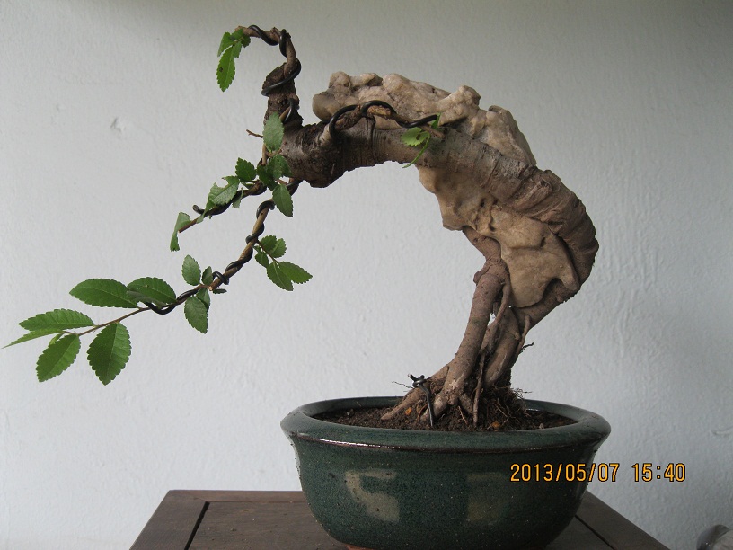 IMG_1867.JPG