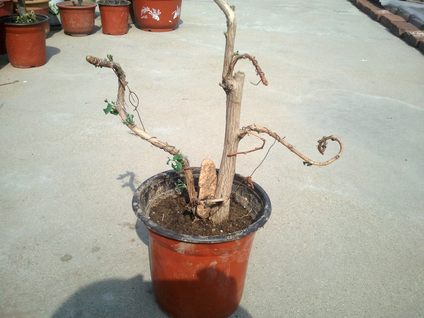 2013-05-07 15.07.39.jpg