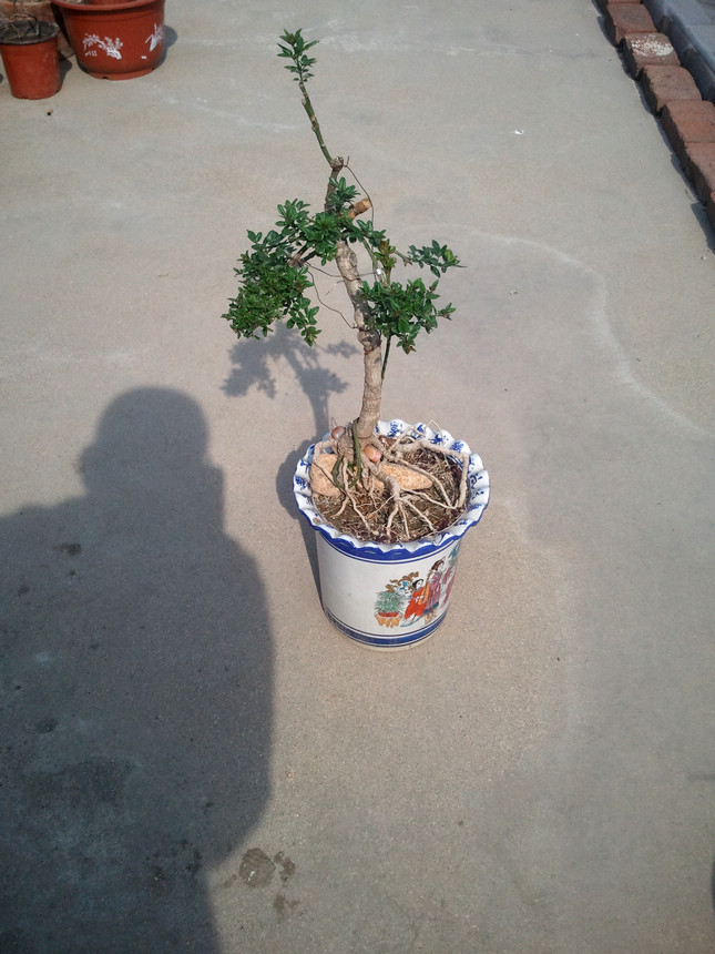 2013-05-07 15.16.33.jpg
