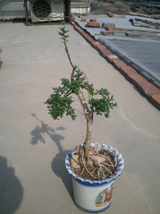 2013-05-07 15.17.02.jpg