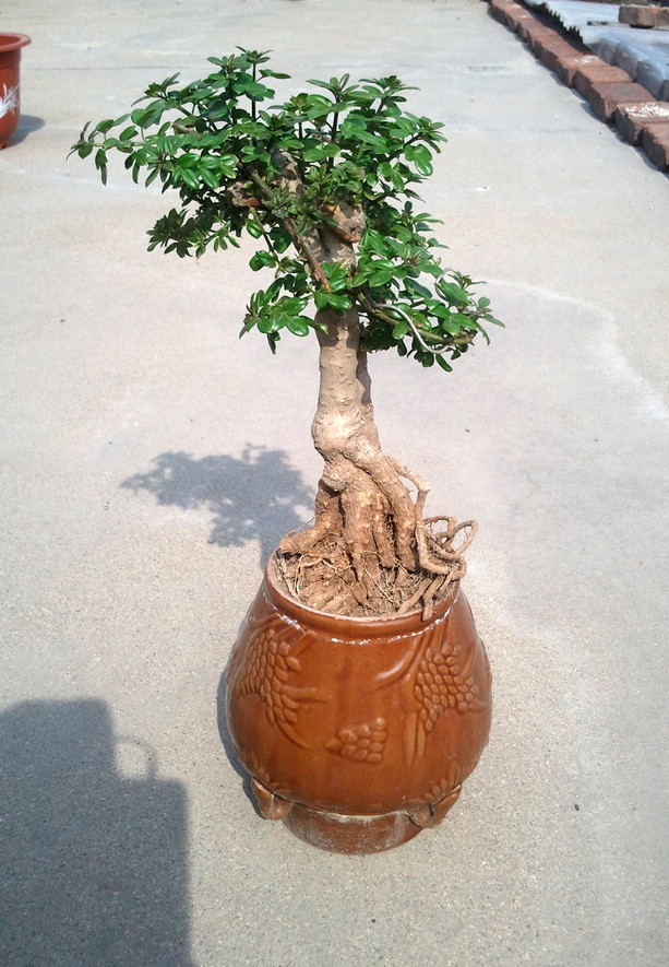 2013-05-07 15.17.35.jpg
