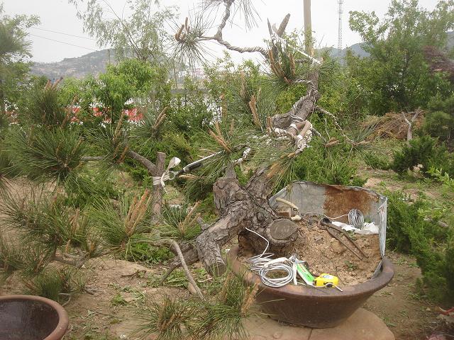 DSC07070.JPG