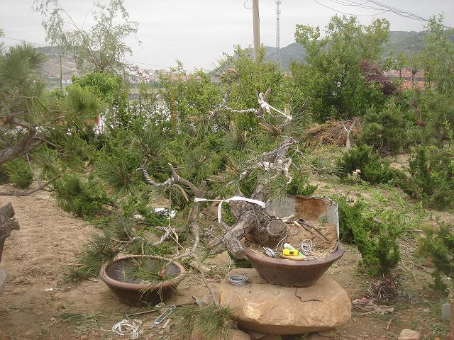 DSC07072.JPG