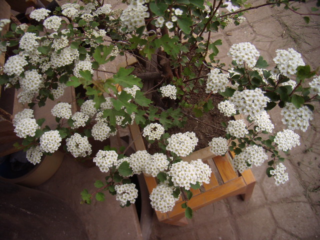 P5080007.JPG