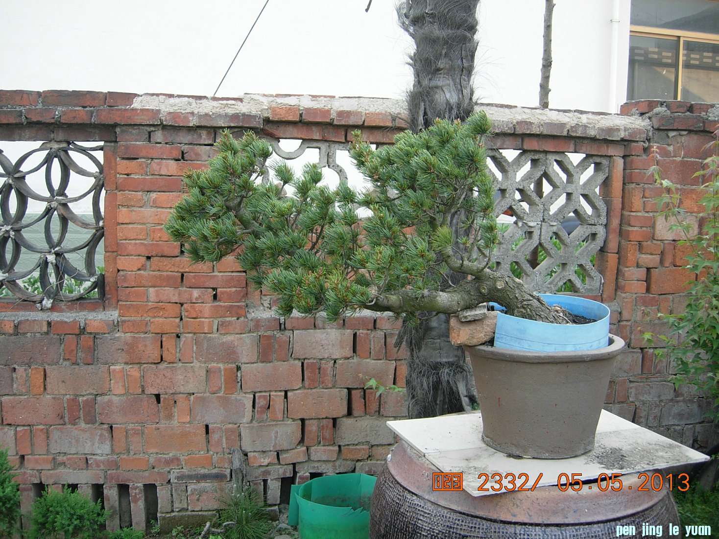 DSCN6865.JPG