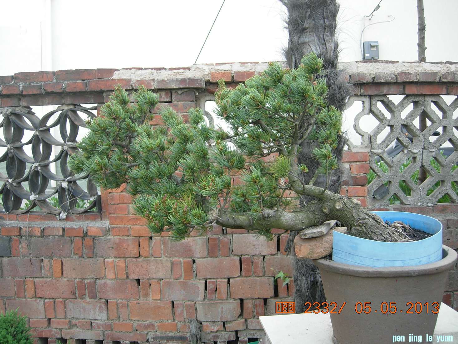 DSCN6866.JPG