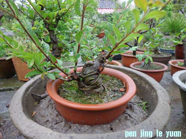 DSC00280.JPG
