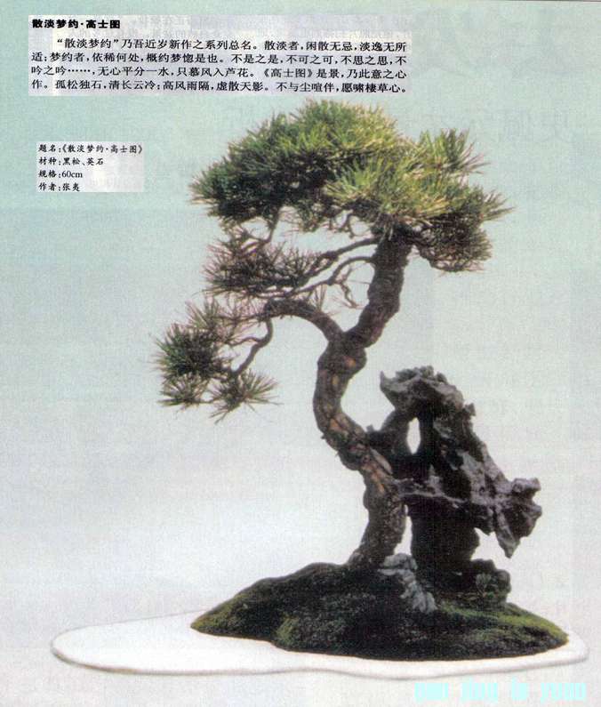 -ʿͼ Ӣʯ.jpg