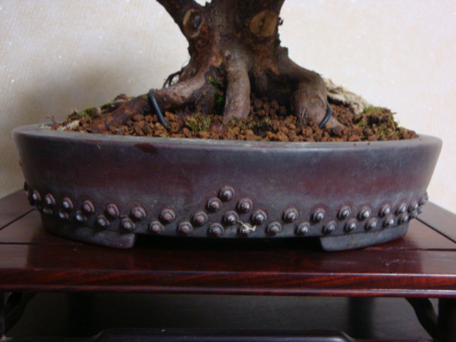 DSC03800.JPG