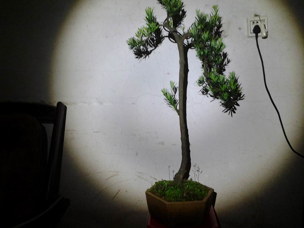 20130511_193641.jpg