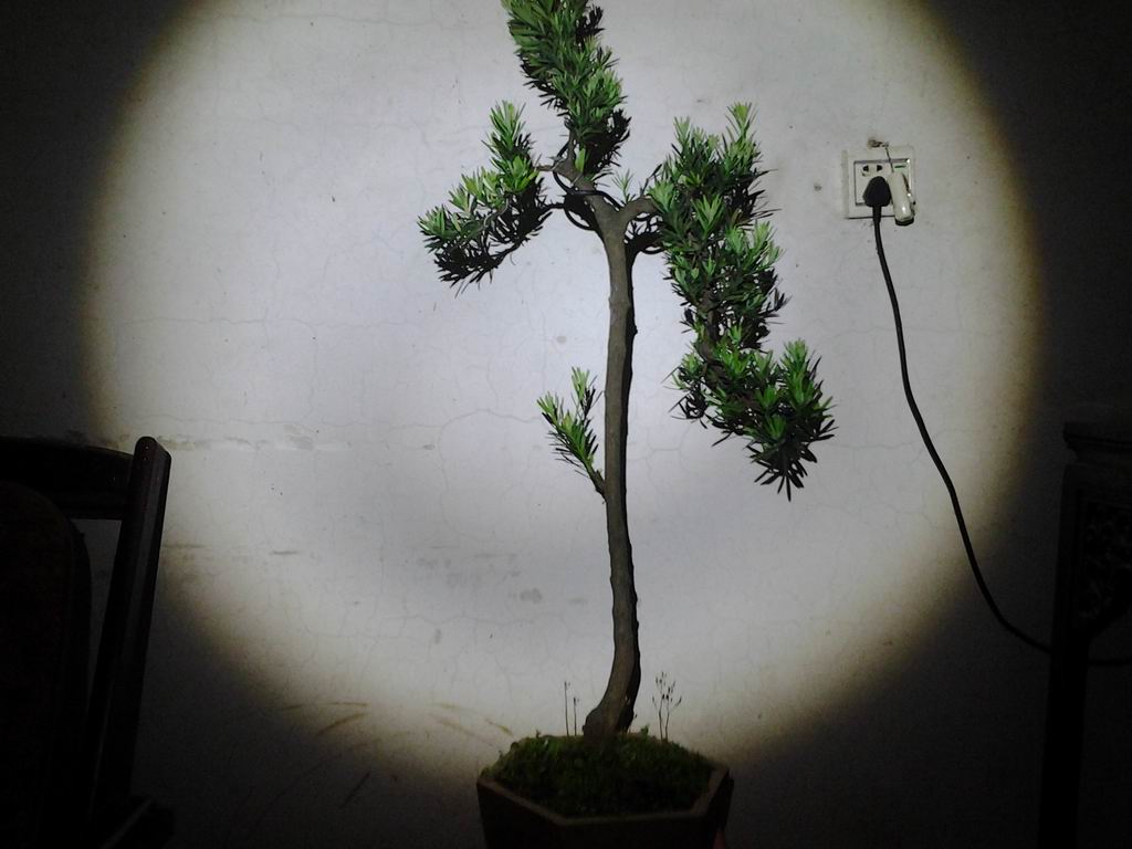 20130511_193649.jpg