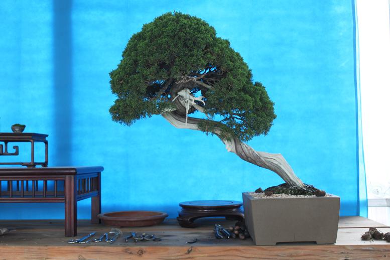 Ƭ 010.jpg