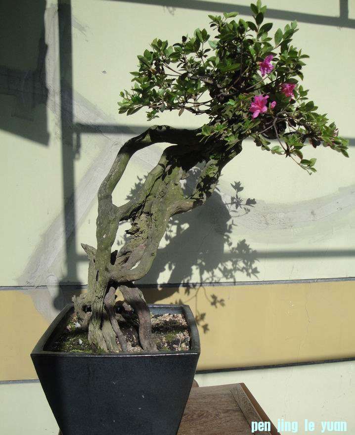 DSC09964.JPG