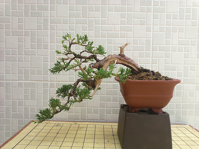 20130513007_.jpg