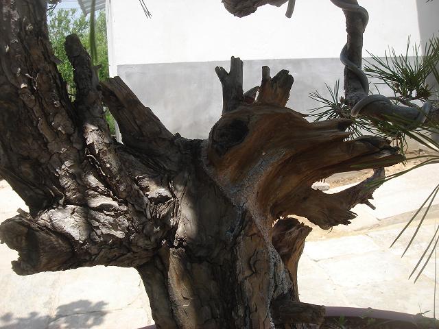 DSC07211.JPG