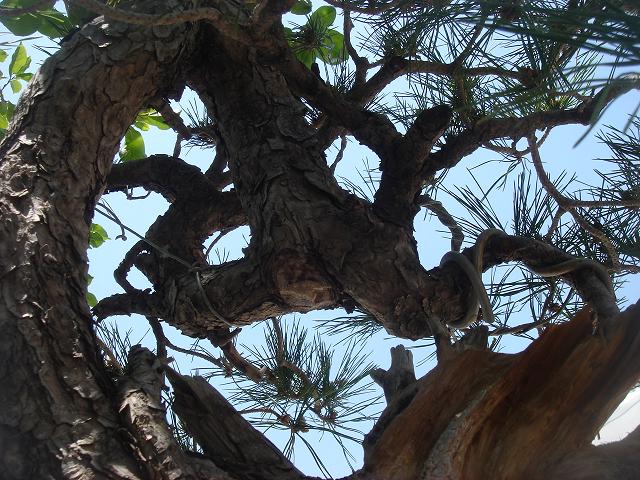 DSC07212.JPG