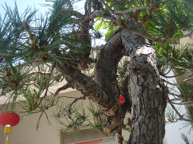 DSC07213.JPG