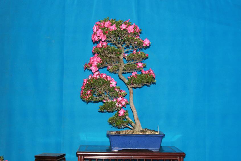 Ƭ 020.jpg
