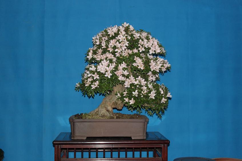 Ƭ 023.jpg