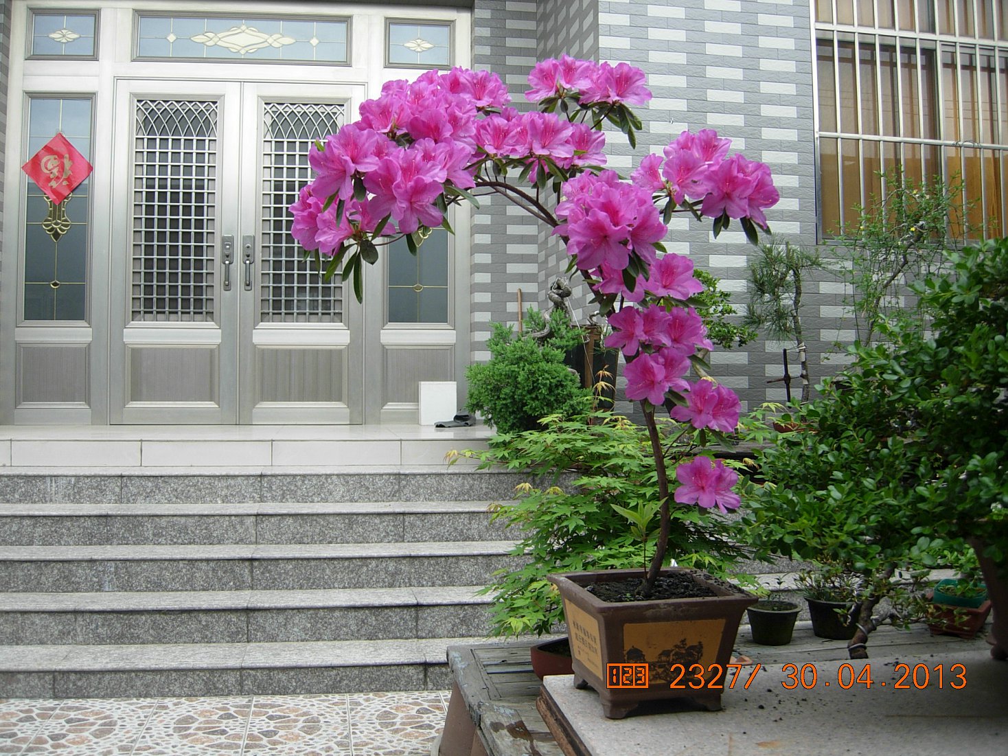 DSCN6832.JPG