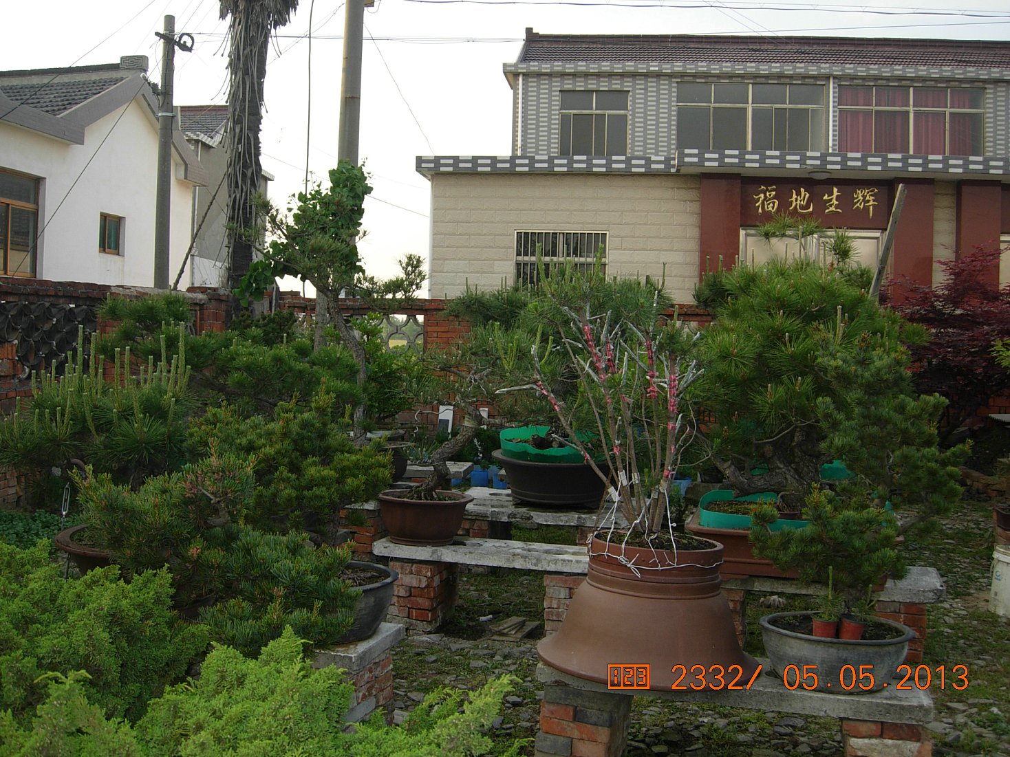 DSCN6861.JPG