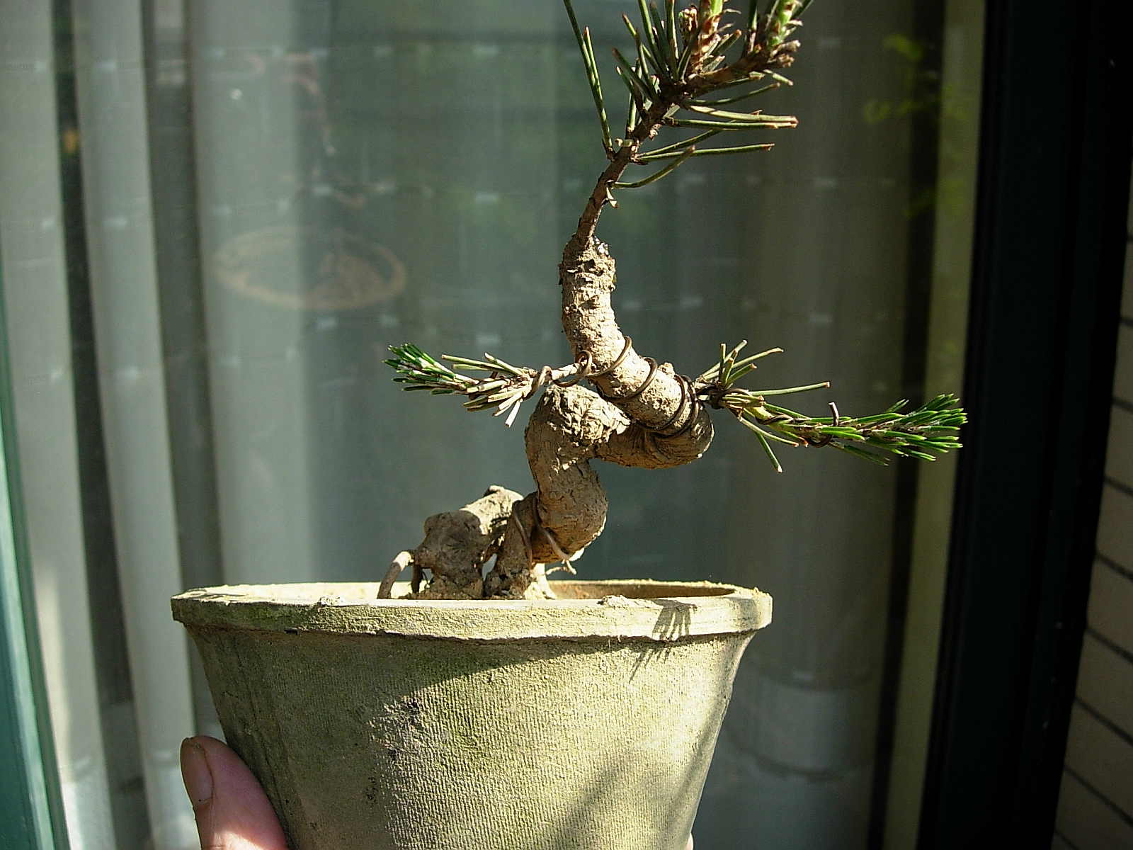 DSCN9832.JPG