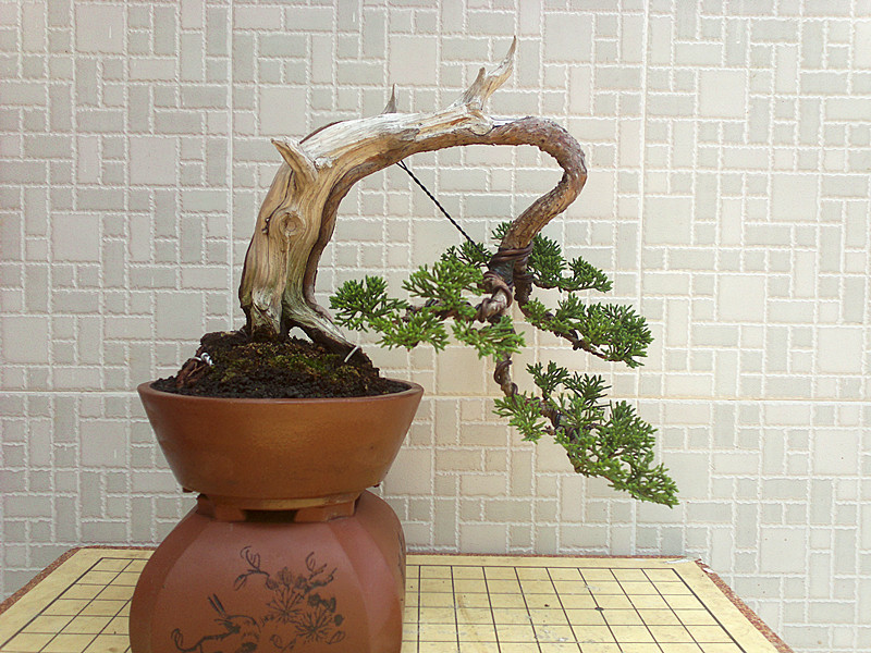 20130514032_.jpg