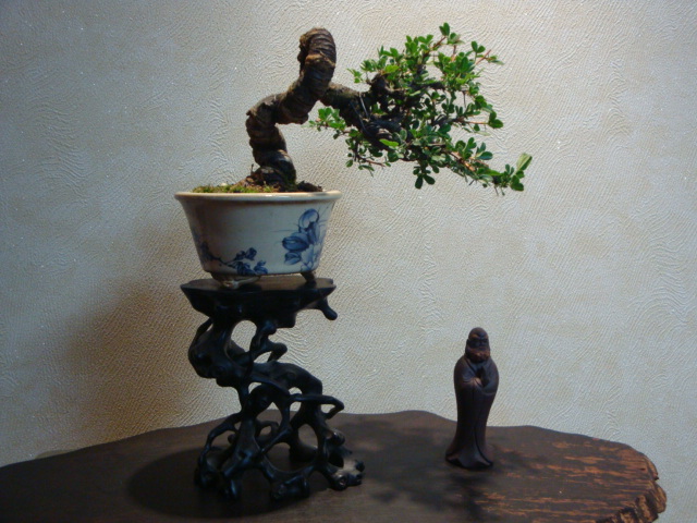 DSC03808.JPG