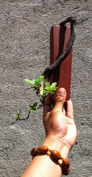 QQͼ20130514211937.jpg