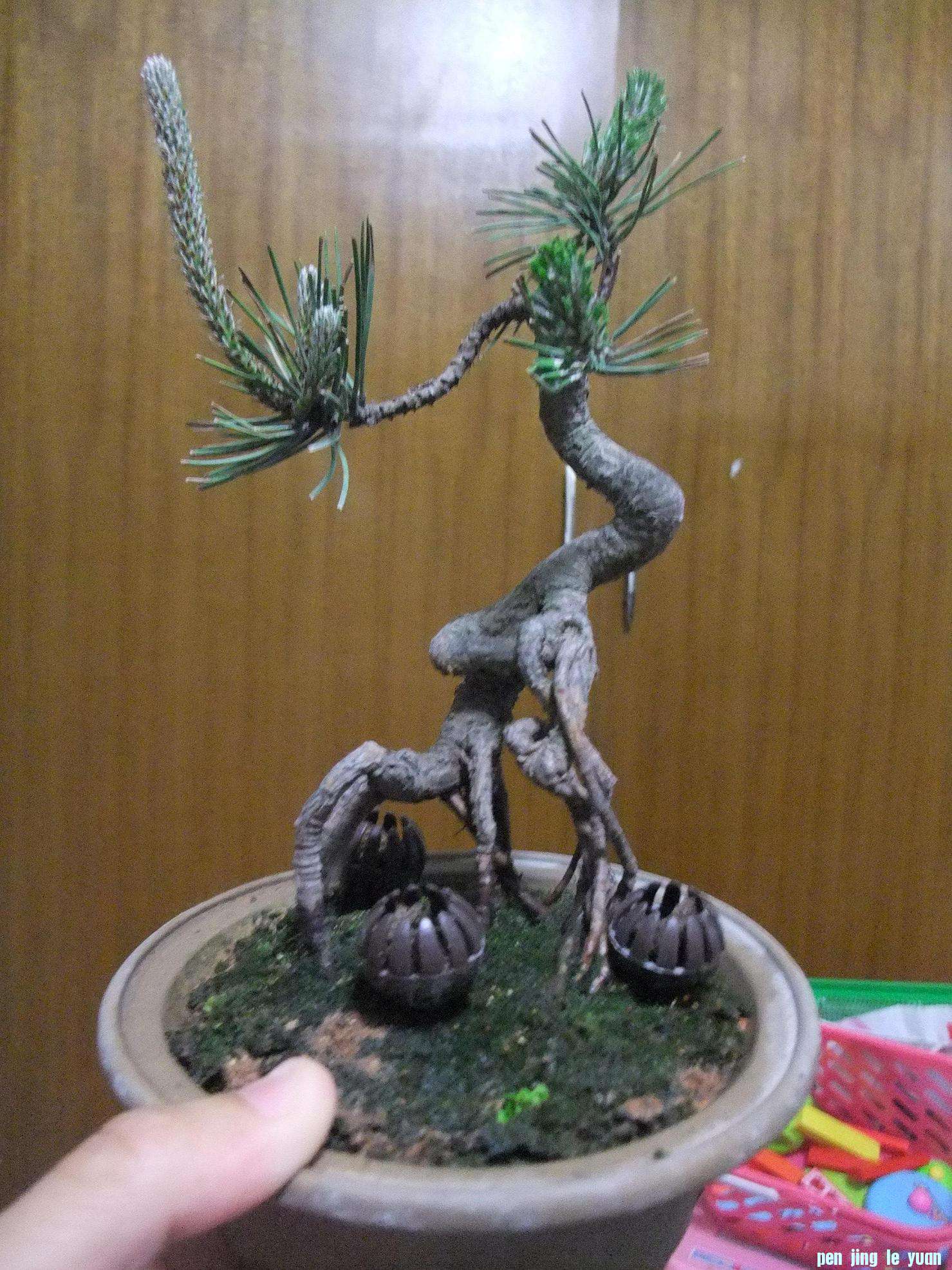 DSCF3086.JPG
