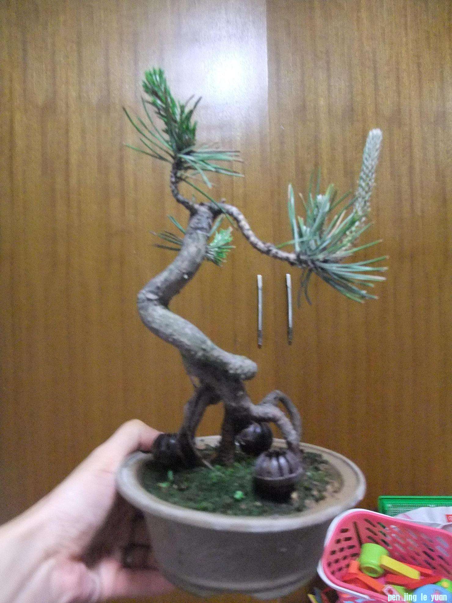 DSCF3087.JPG