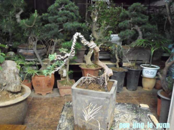 DSCF2716.JPG