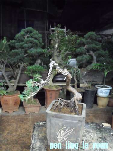 DSCF2718.jpg
