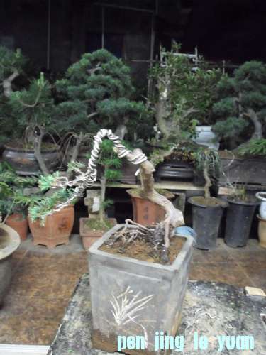 DSCF2719.jpg
