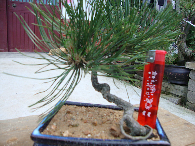 DSC01071_.jpg