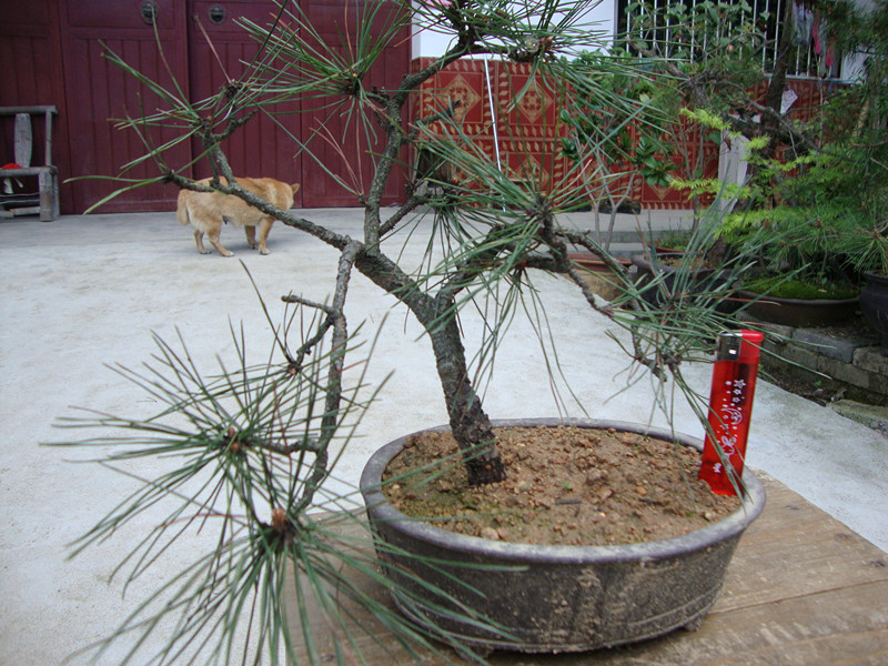 DSC01070_.jpg