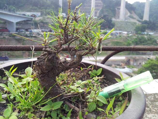 20130512_173017.jpg