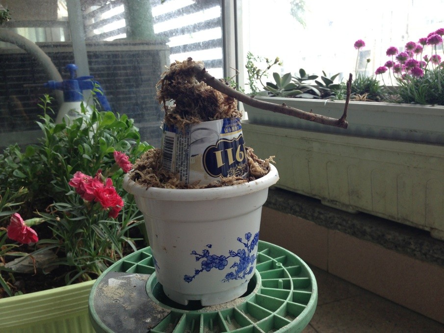 QQͼƬ20130517161905.jpg